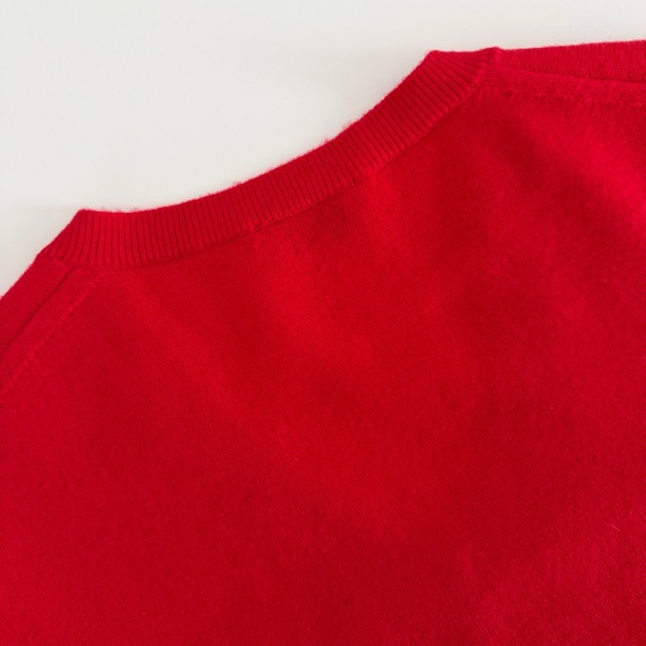 Aritzia Bare Cashmere V-Neck Sweater - Picture 9 of 12